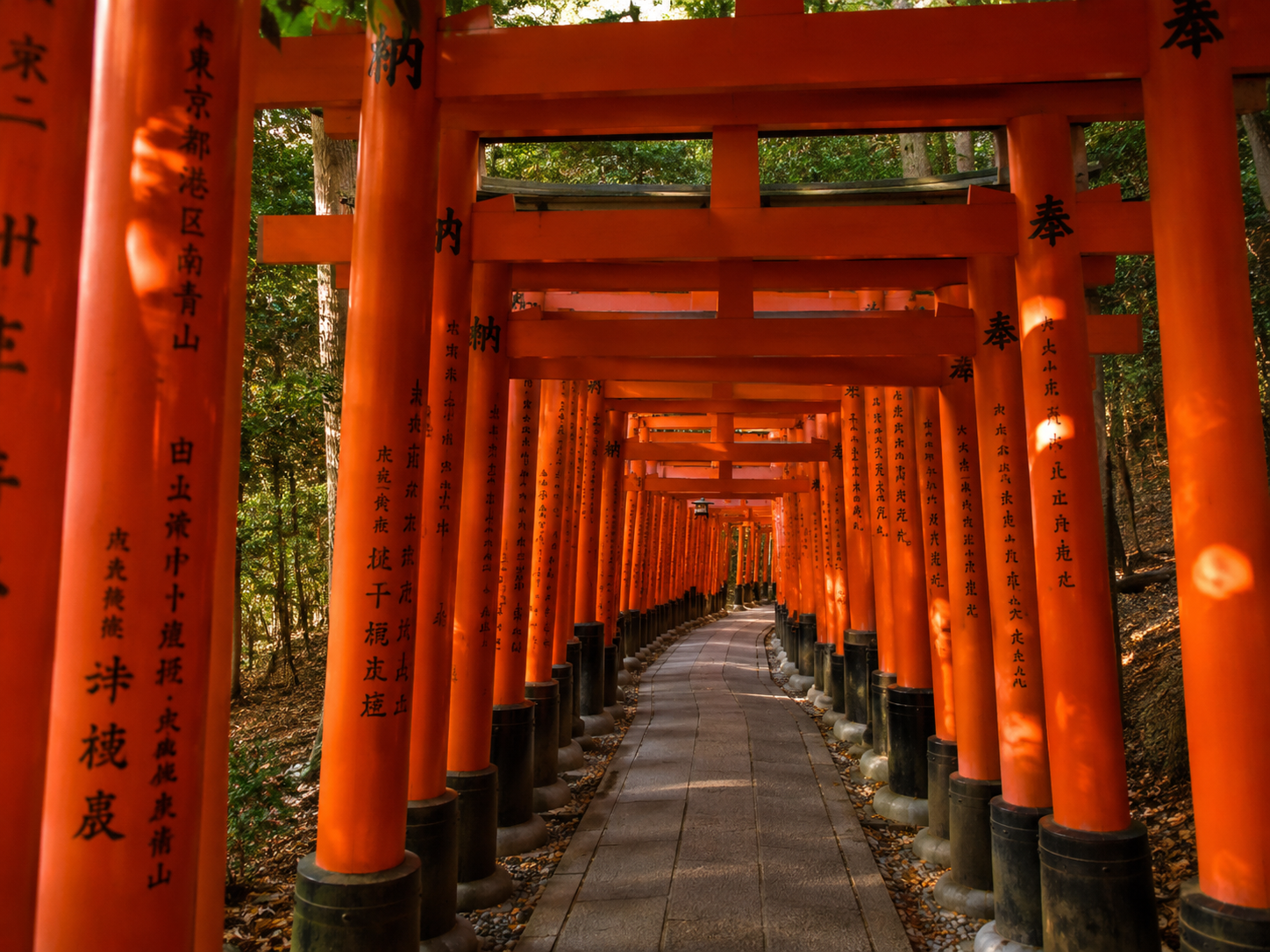 Los torii de Fushimi Inari construyen un sendero de color, sombra y significado a través de la montaña.